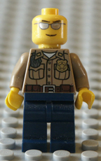 Lego photograph, part picture.