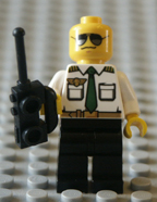 Lego photograph, part picture.