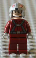 Lego photograph, part picture.