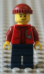 Lego photograph, part picture.