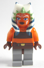 ashoka-lego.jpg