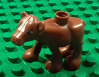 duplo027.jpg